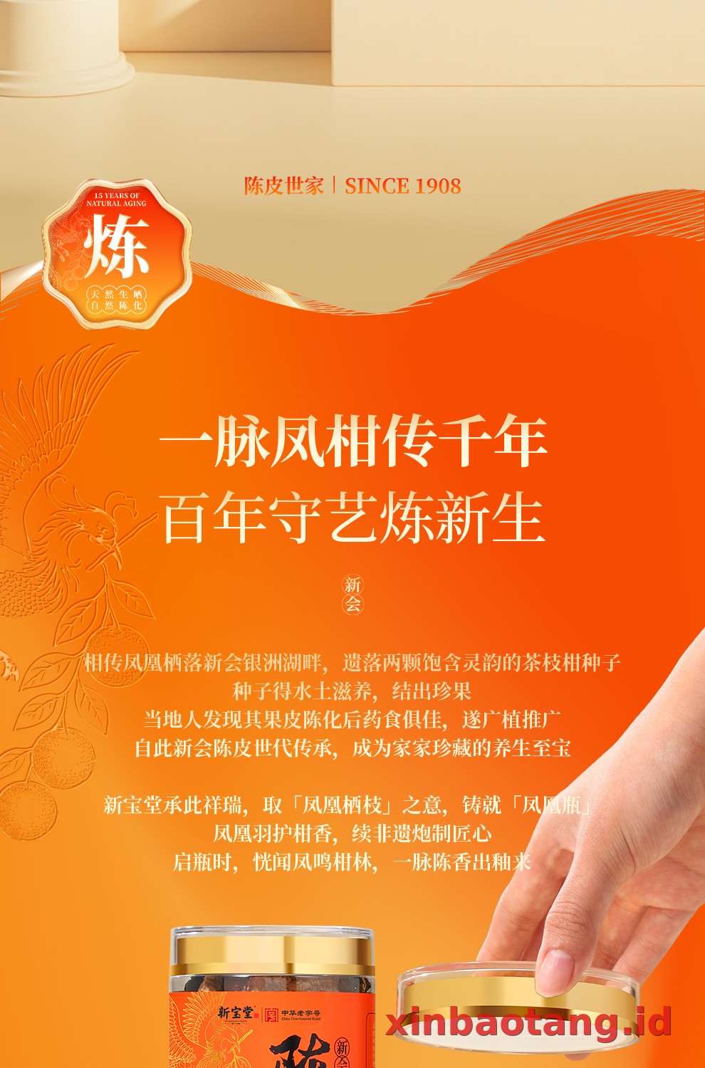 Xinbaotang Chenpi Kering 30g