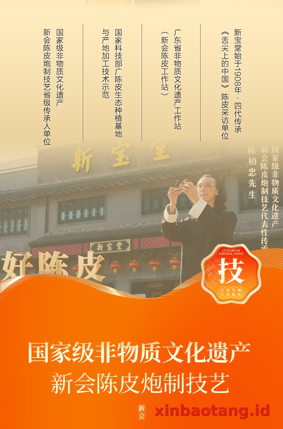 Xinbaotang Chenpi Kering 30g