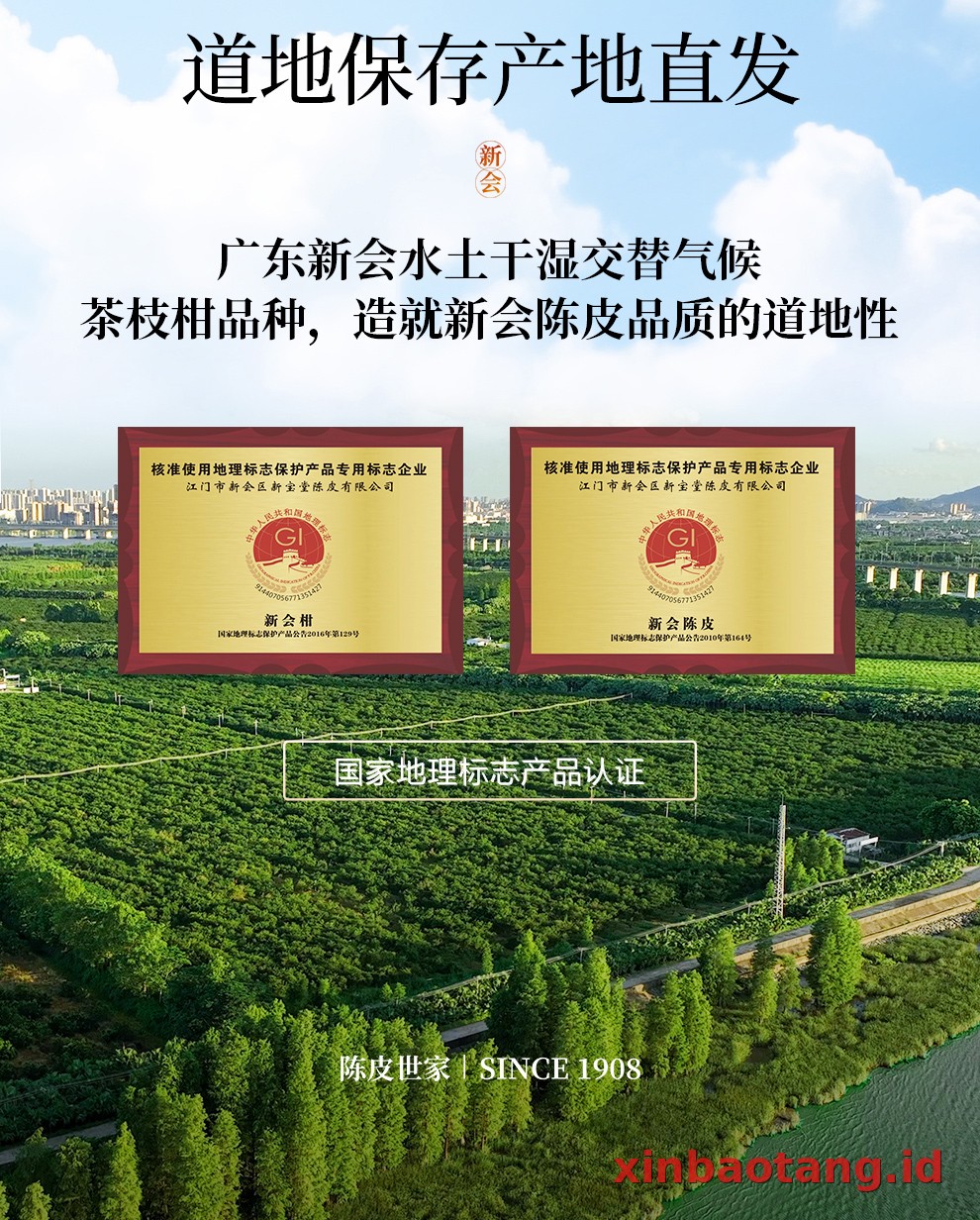 Xinbaotang Chenpi Kering Gift Box 90g