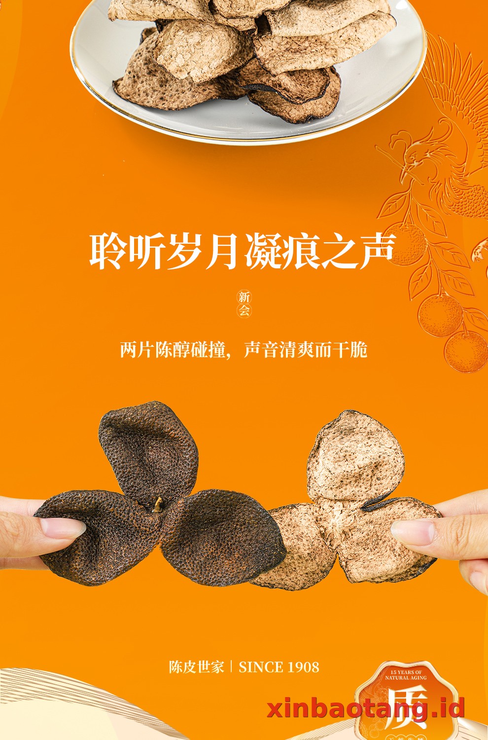 Xinbaotang Chenpi Kering Gift Box 90g