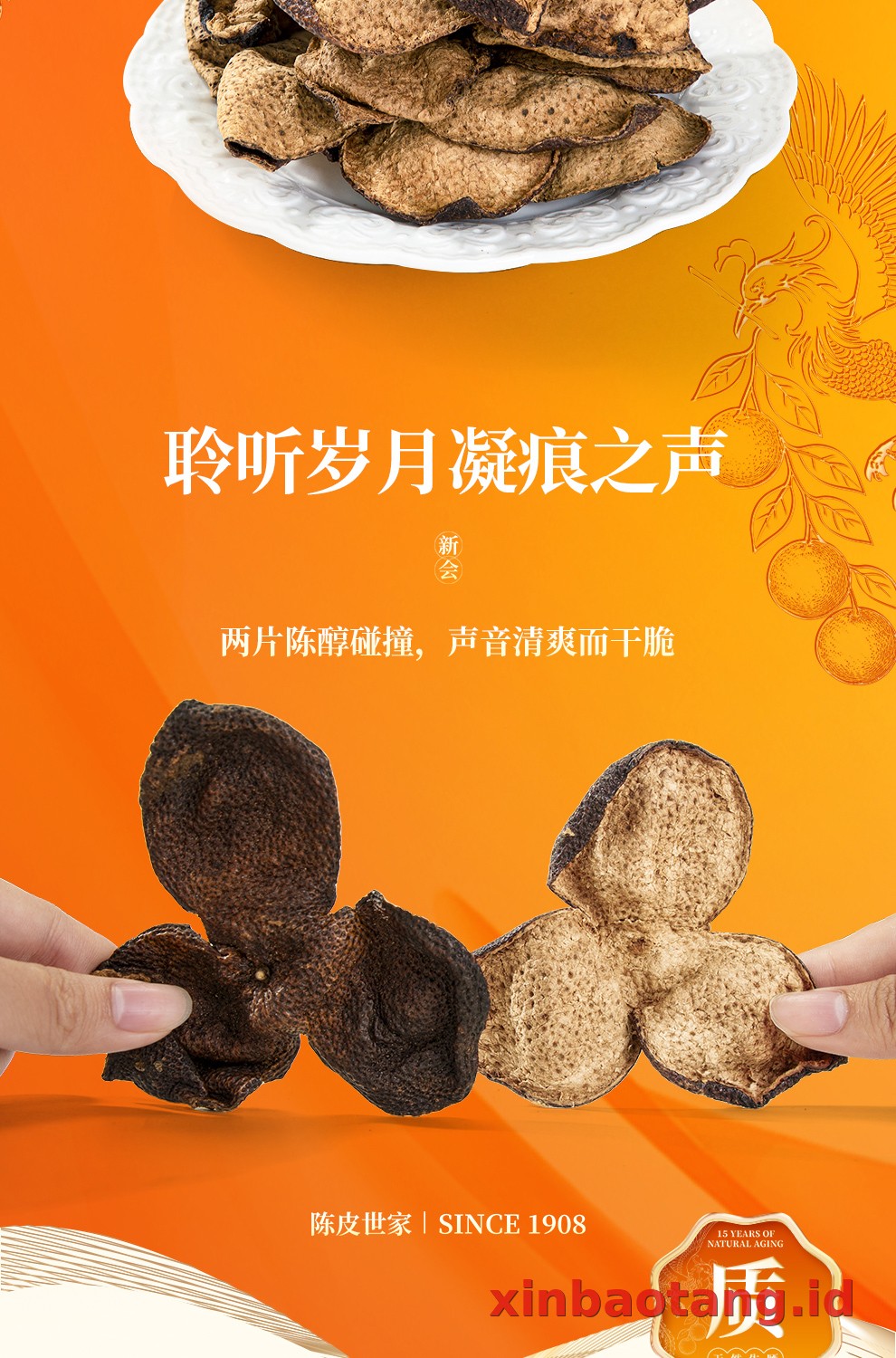 Xinbaotang Chenpi Kering Gift Box 90g