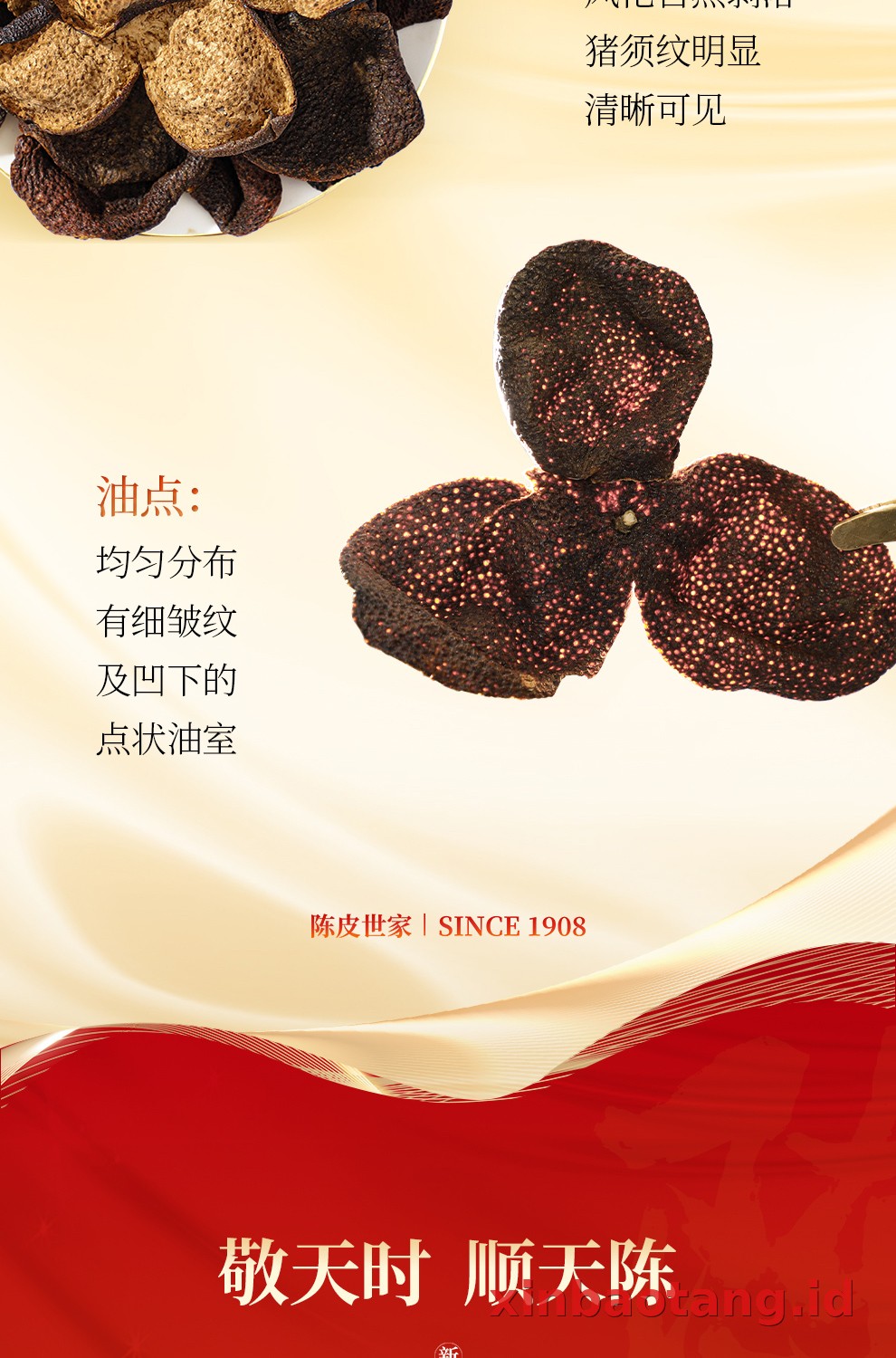 Xinbaotang Chenpi Kering Gift Box 90g
