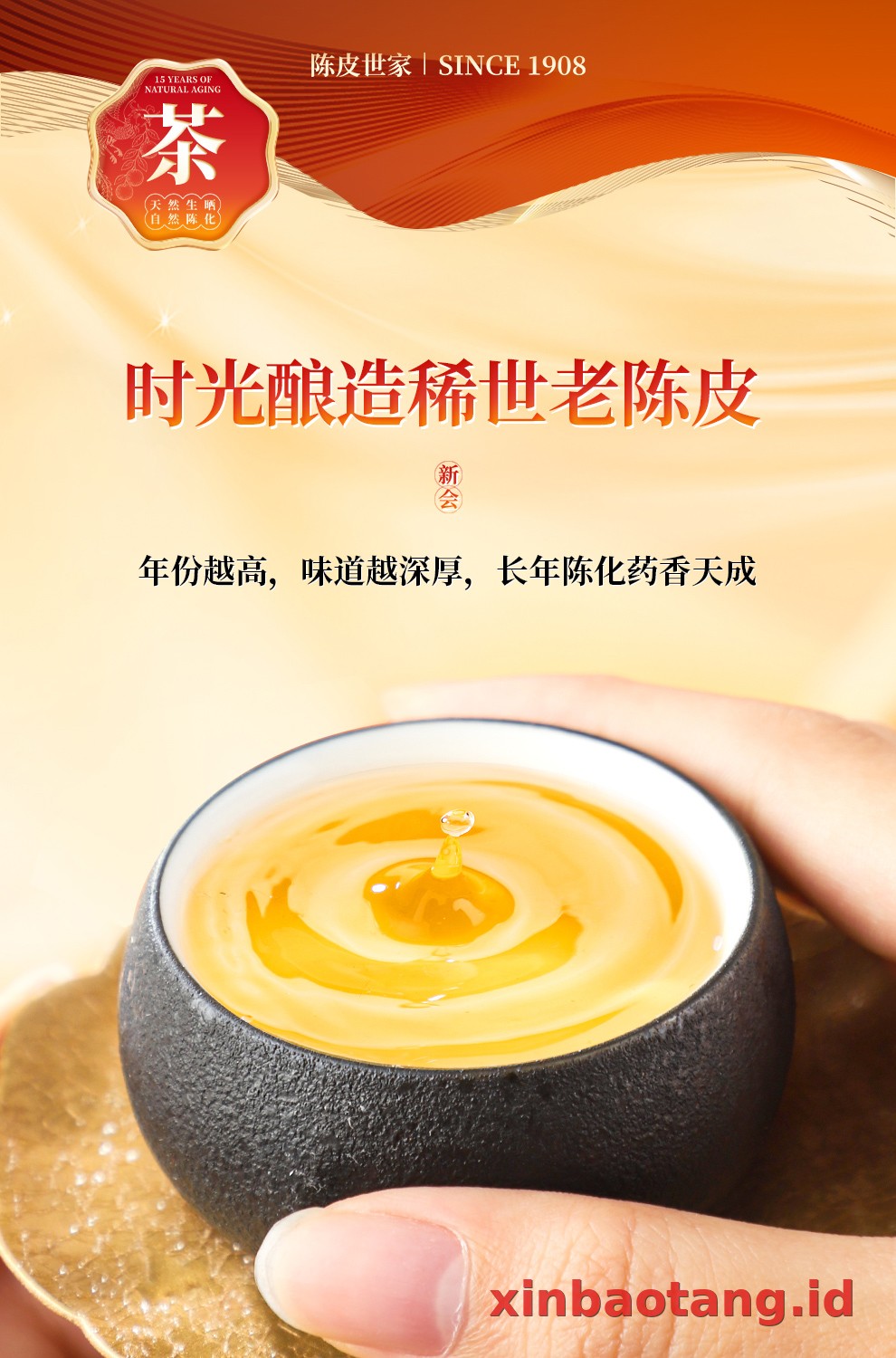 Xinbaotang Chenpi Kering Gift Box 90g