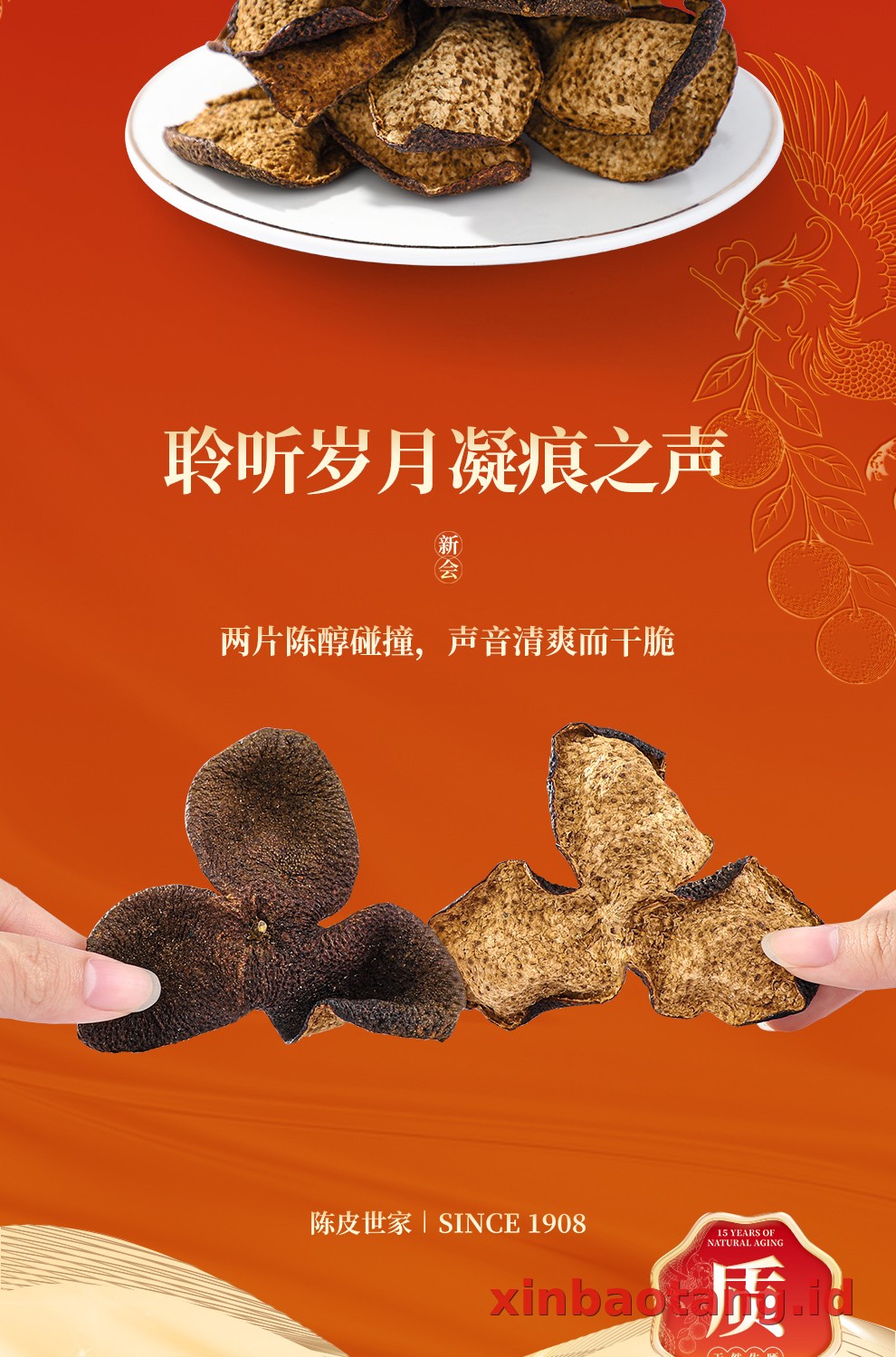 Xinbaotang Chenpi Kering Gift Box 90g