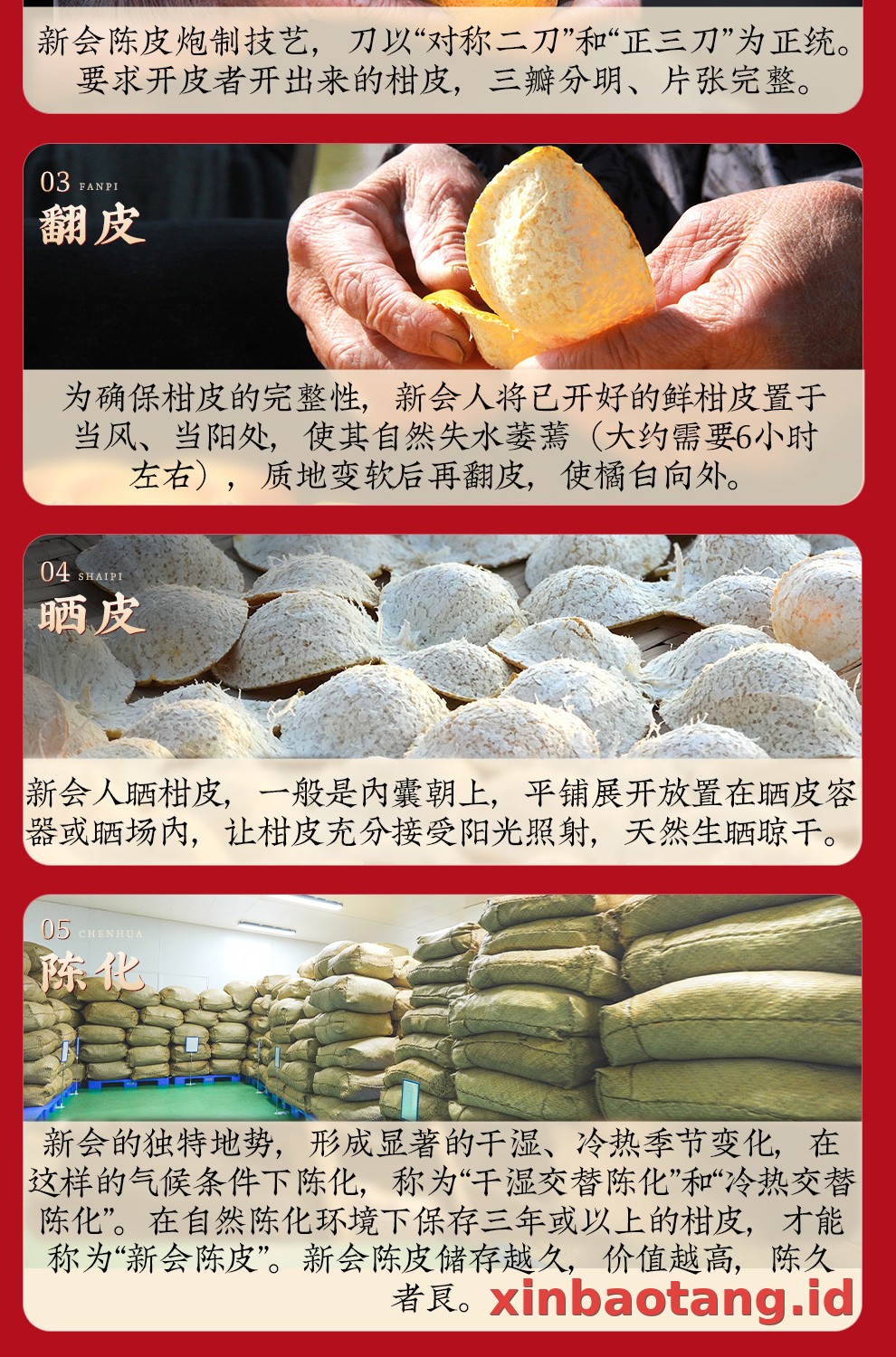 Xinbaotang Chenpi Kering Gift Box 655g