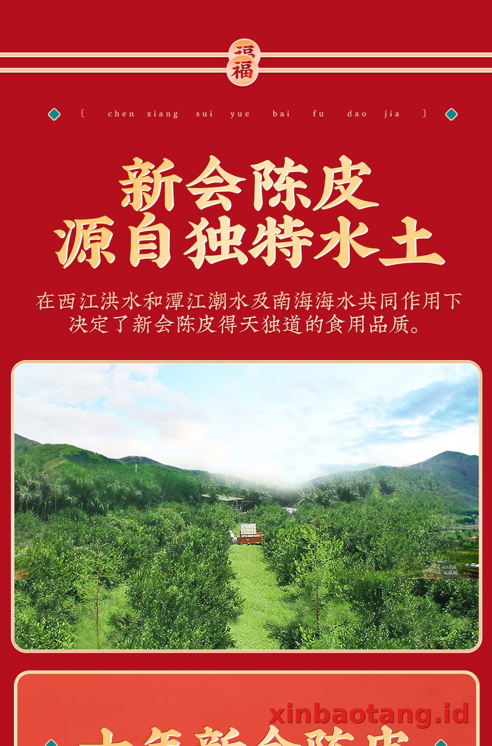Xinbaotang Chenpi Kering Gift Box 655g