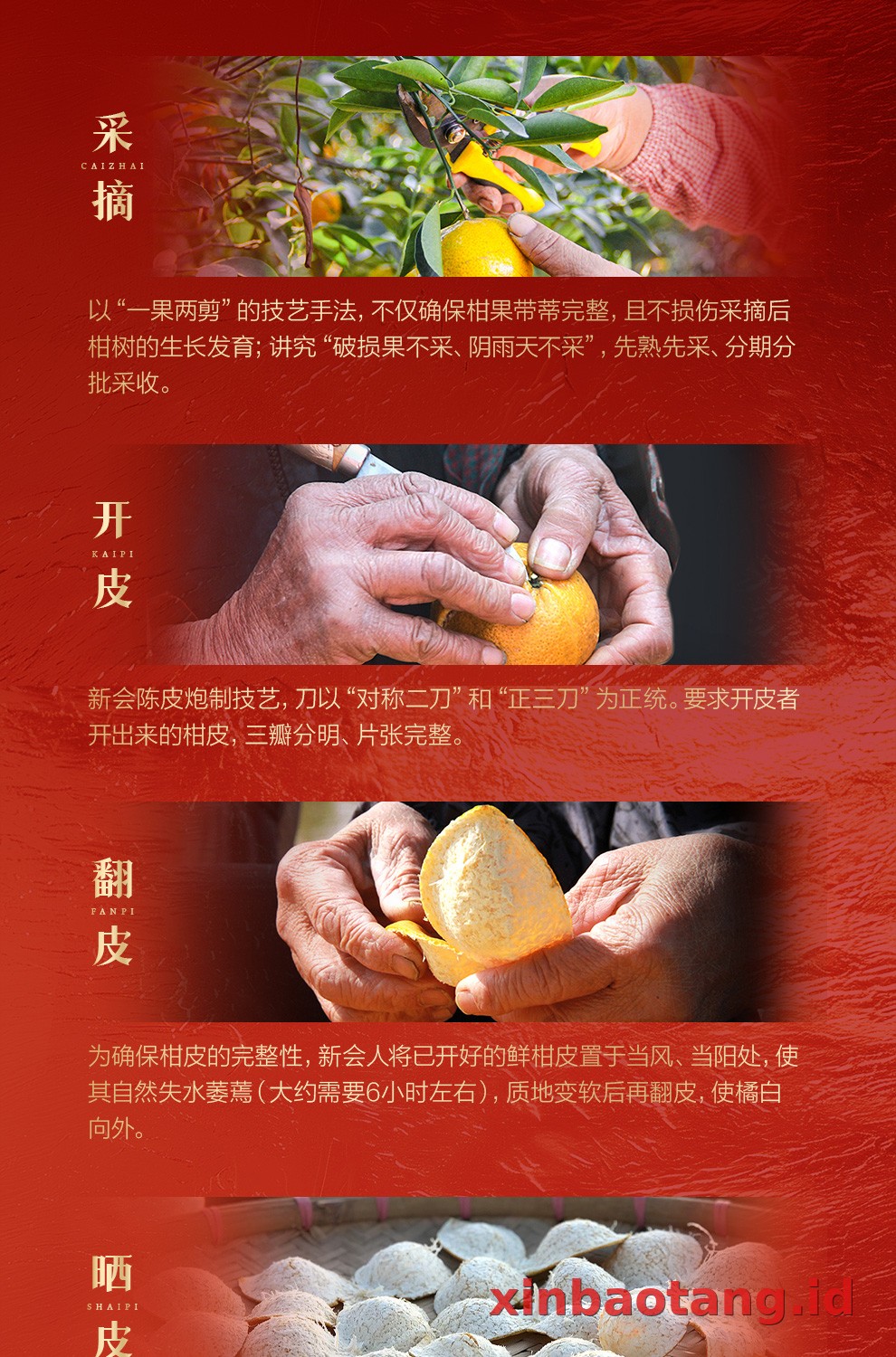 Xinbaotang Chenpi Kering 2013 Tahun Gift Box 80g