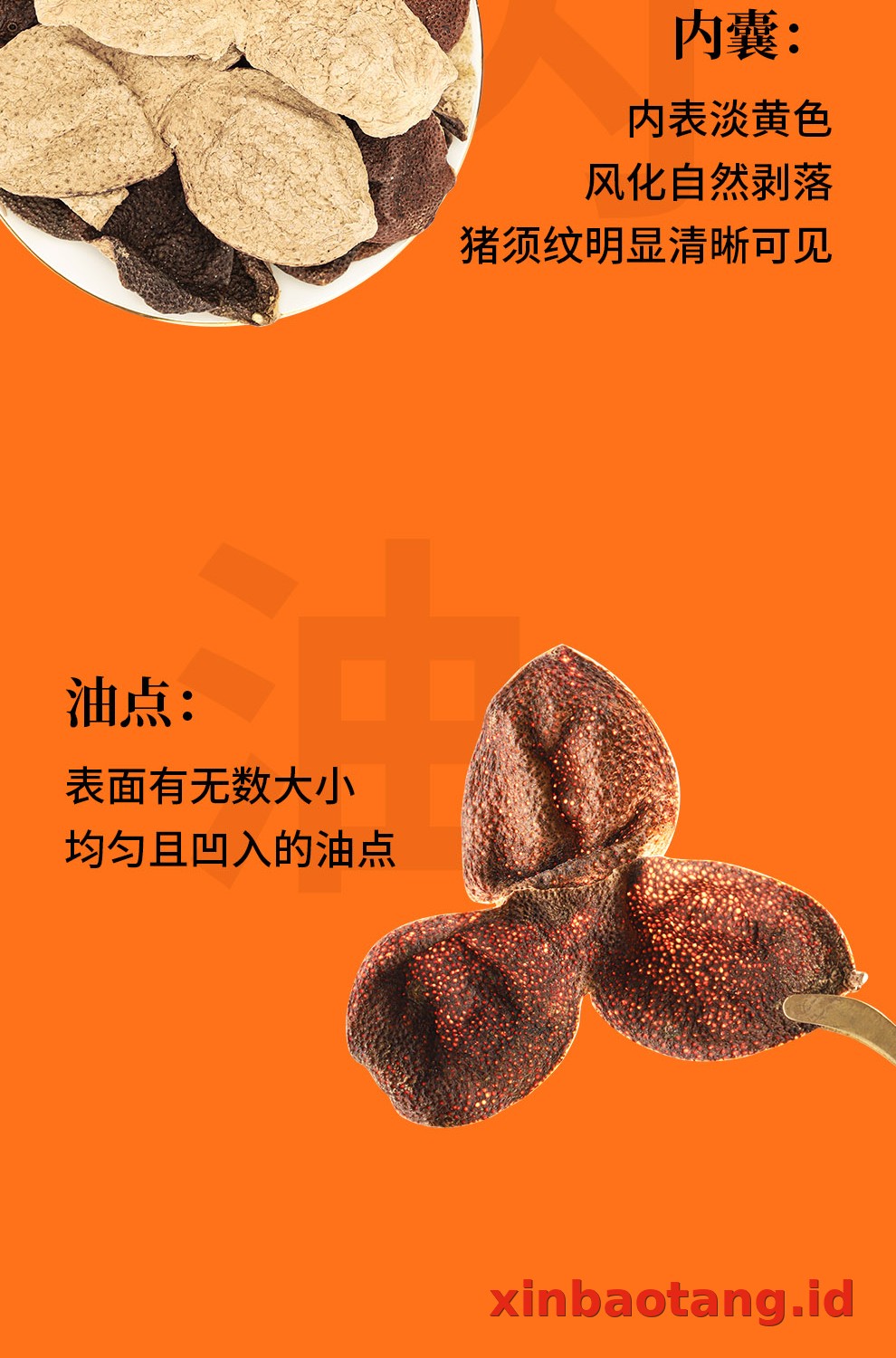 Xinbaotang Chenpi Kering 2017 Tahun Gift Box 80g