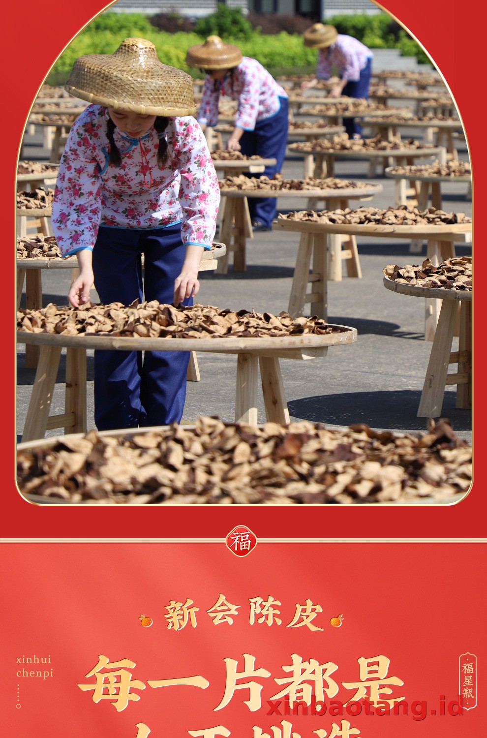 Xinbaotang Chenpi Kering Gift Box 125g