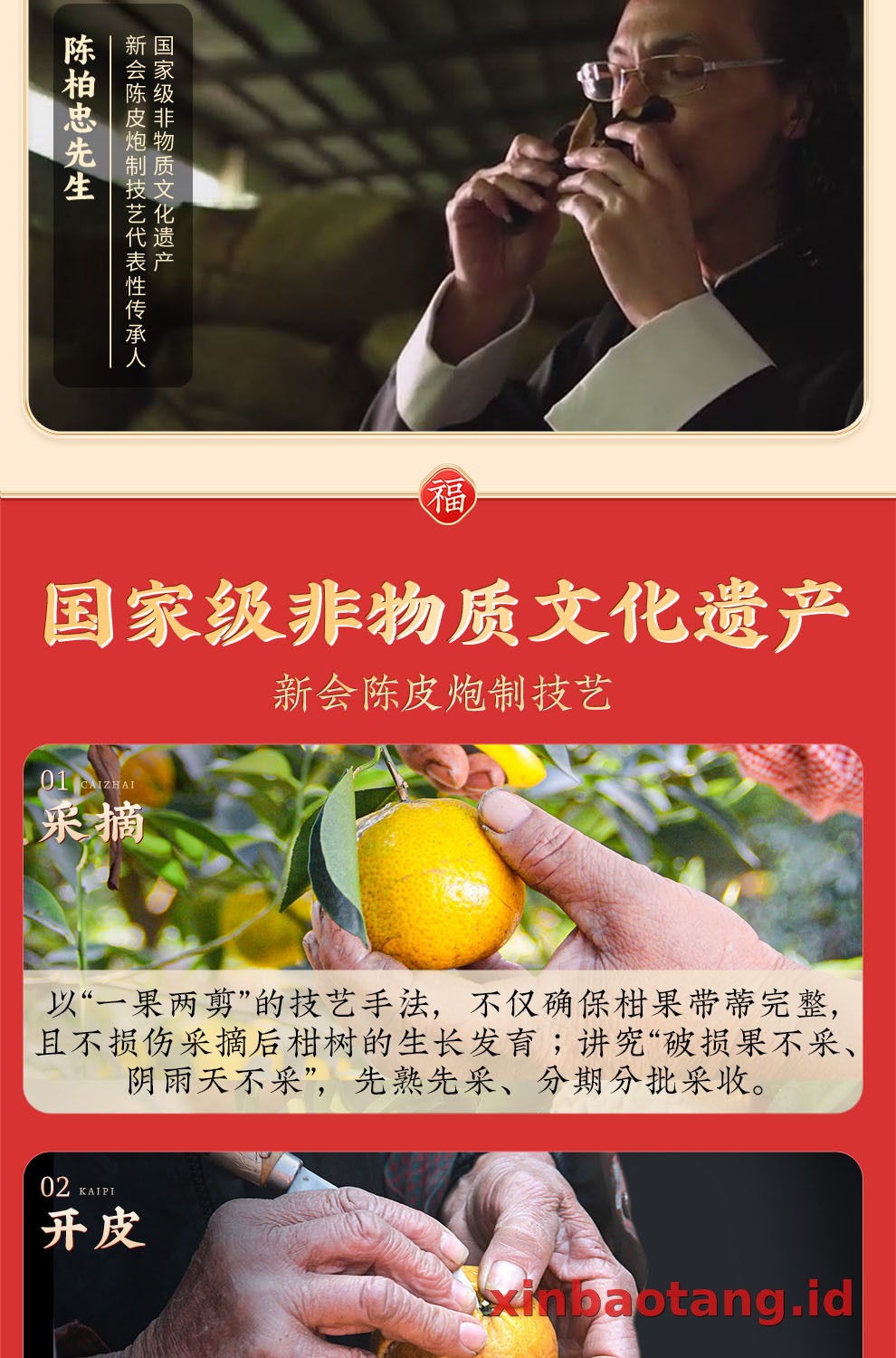 Xinbaotang Chenpi Kering Gift Box 125g