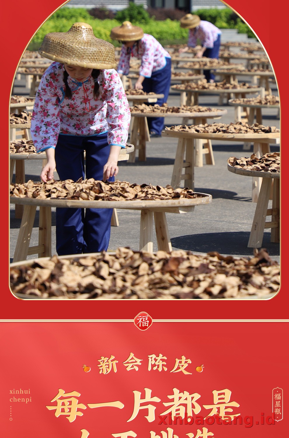Xinbaotang Chenpi Kering Gift Box 125g