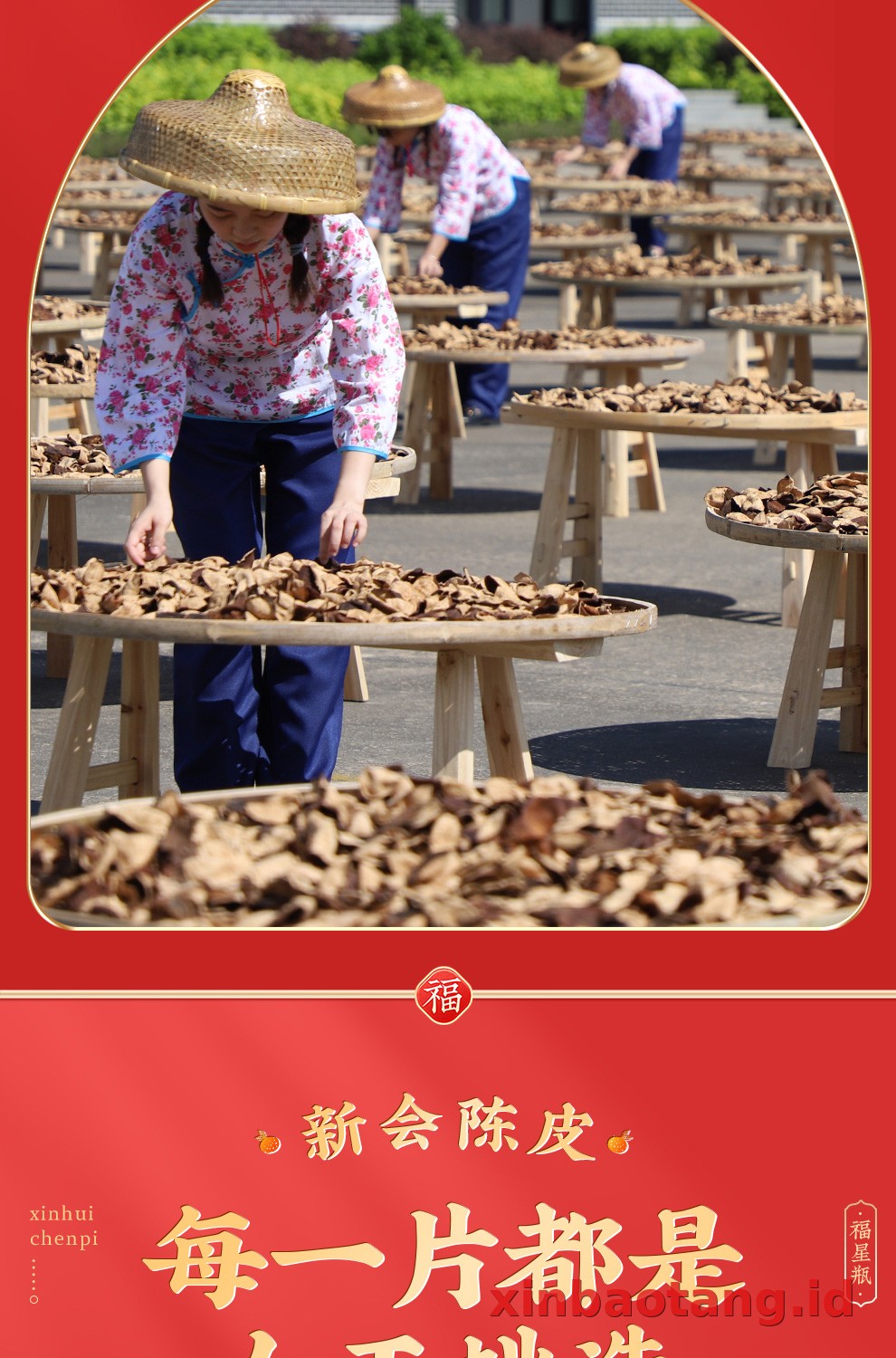 Xinbaotang Chenpi Kering Gift Box 125g
