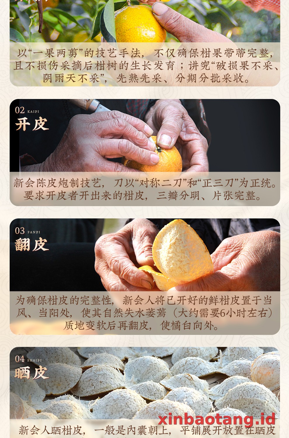 Xinbaotang Chenpi Kering 500g