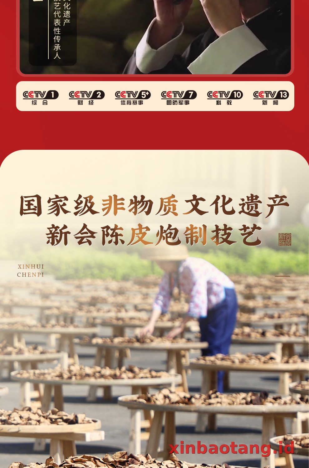 Xinbaotang Chenpi Kering 500g