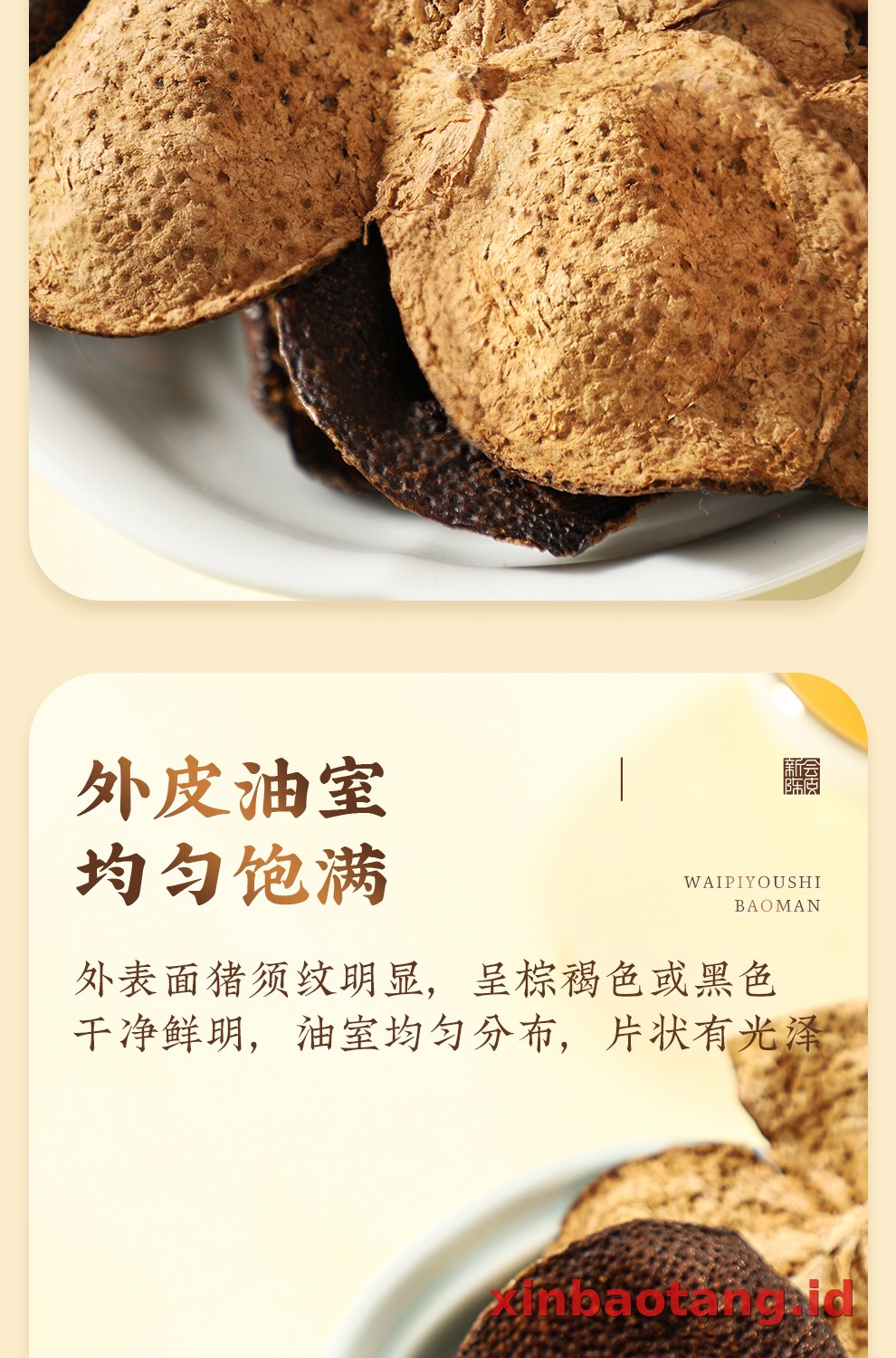 Xinbaotang Chenpi Kering 10 Tahun 50g
