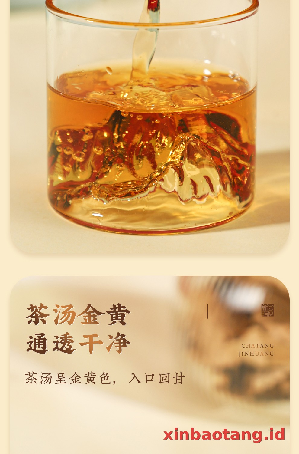Xinbaotang Chenpi Kering 10 Tahun 50g