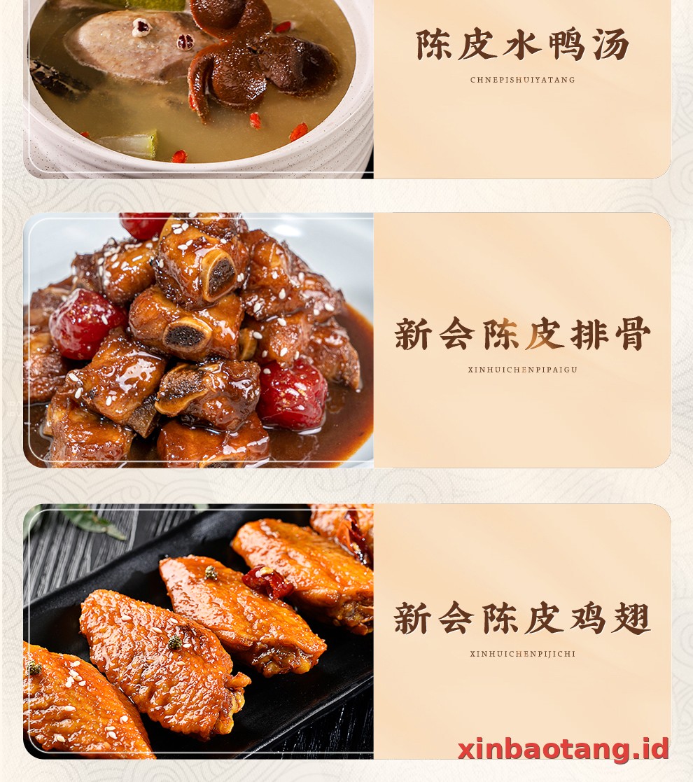 Xinbaotang Chenpi Kering 10 Tahun 50g