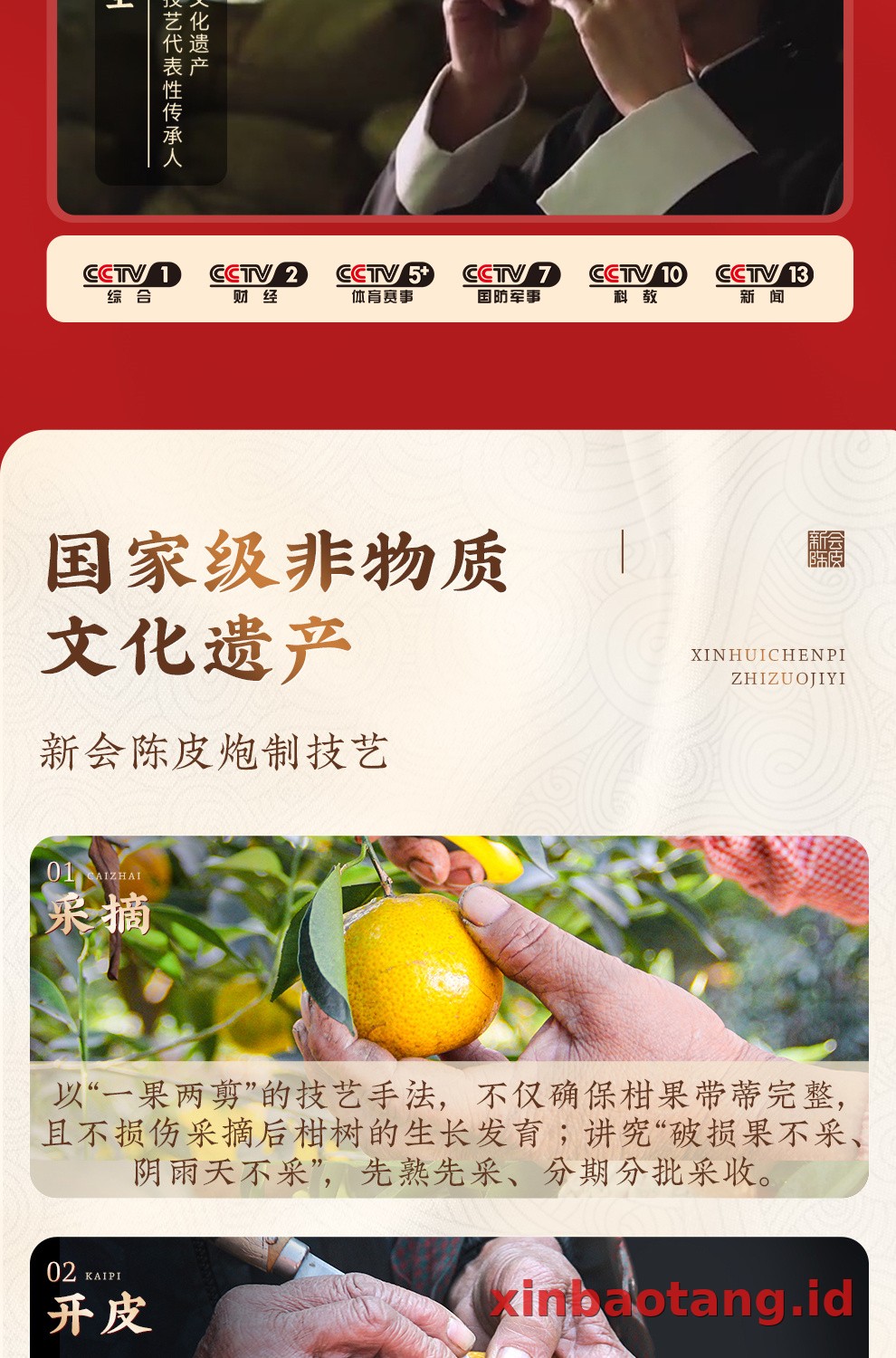 Xinbaotang Chenpi Kering 10 Tahun 50g