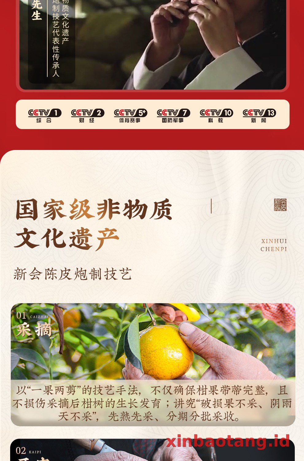 Xinbaotang Chenpi Kering 500g