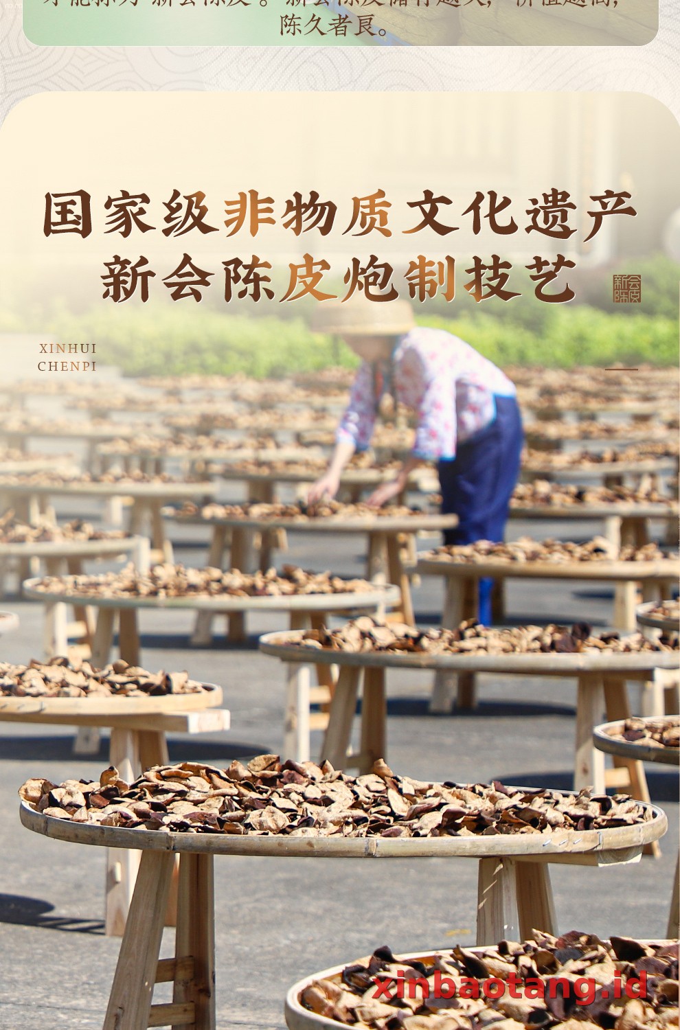 Xinbaotang Chenpi Kering 15 Tahun 500g
