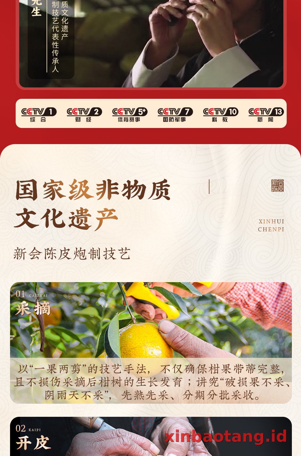 Xinbaotang Chenpi Kering 15 Tahun 500g