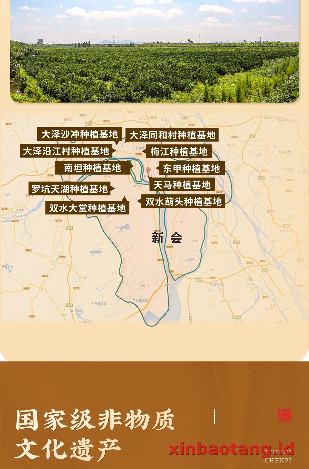 Xinbaotang Chenpi Kering 16 Tahun 50g