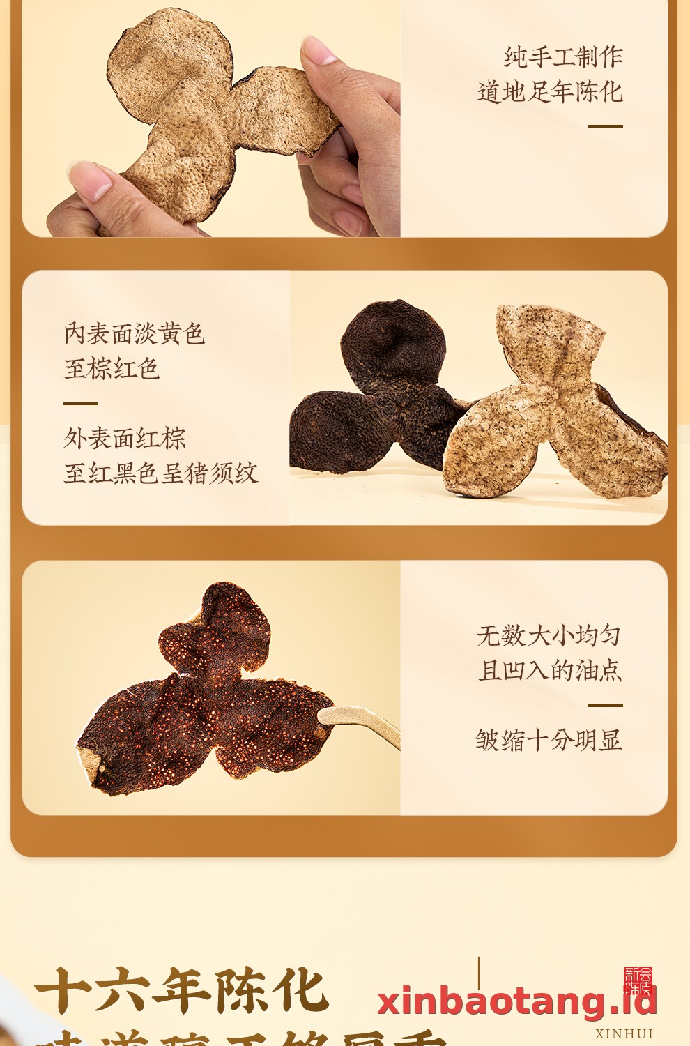 Xinbaotang Chenpi Kering 16 Tahun 50g