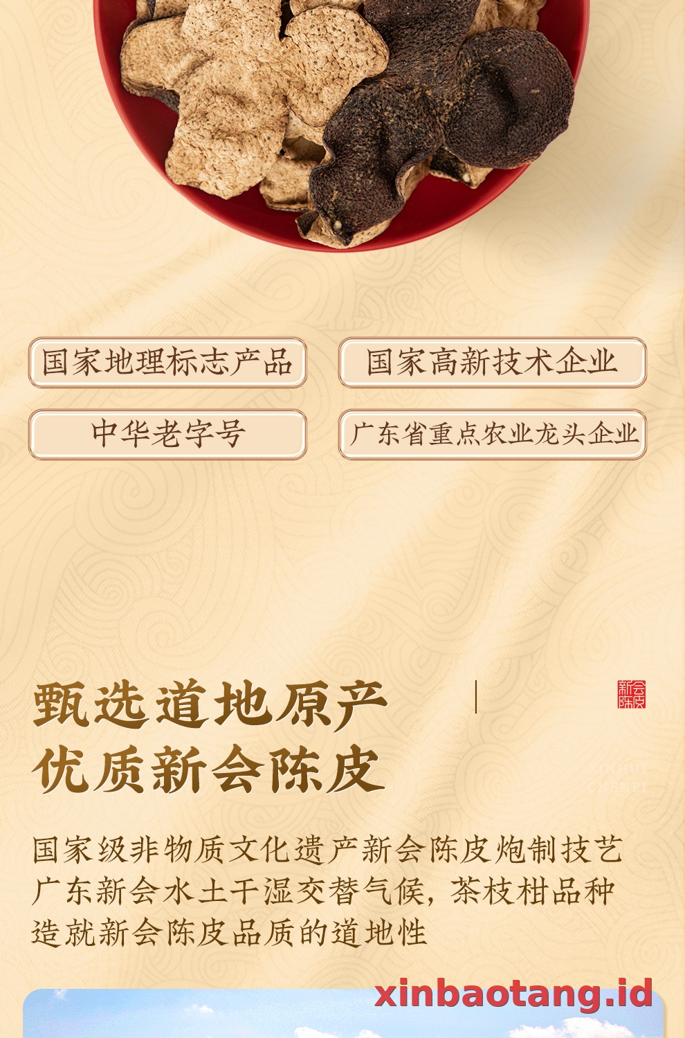 Xinbaotang Chenpi Kering 16 Tahun 50g