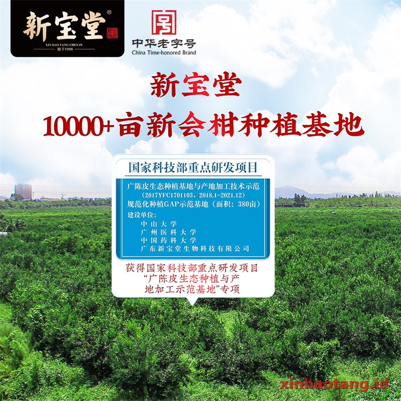 Xinbaotang Chenpi Kering 20 Tahun 50g - Gambar 2