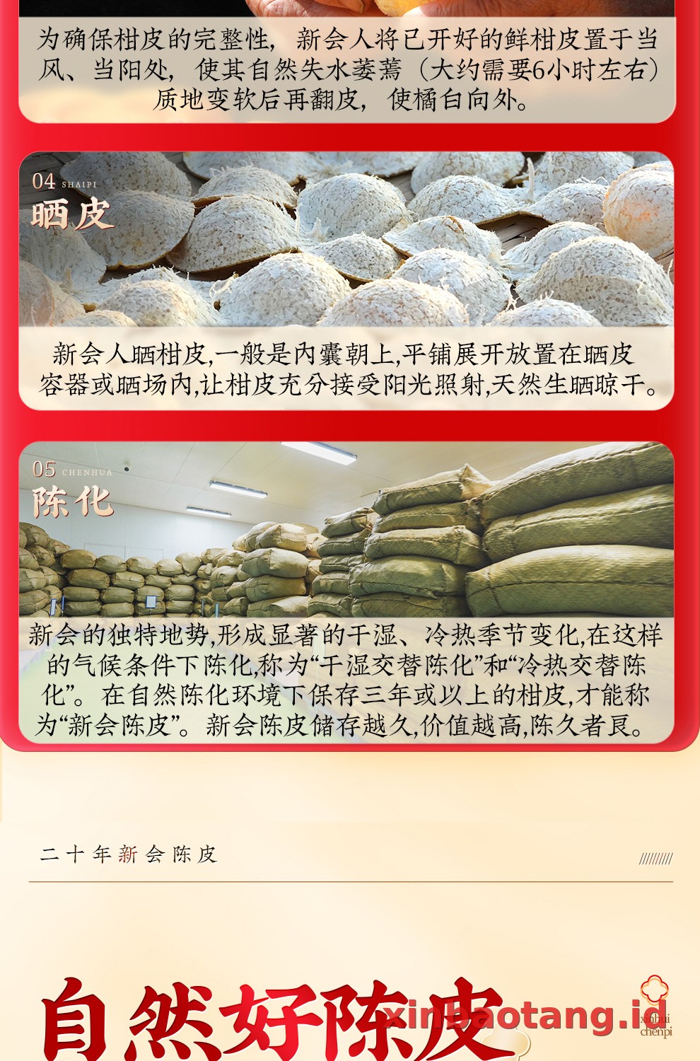 Xinbaotang Chenpi Kering 20 Tahun 50g