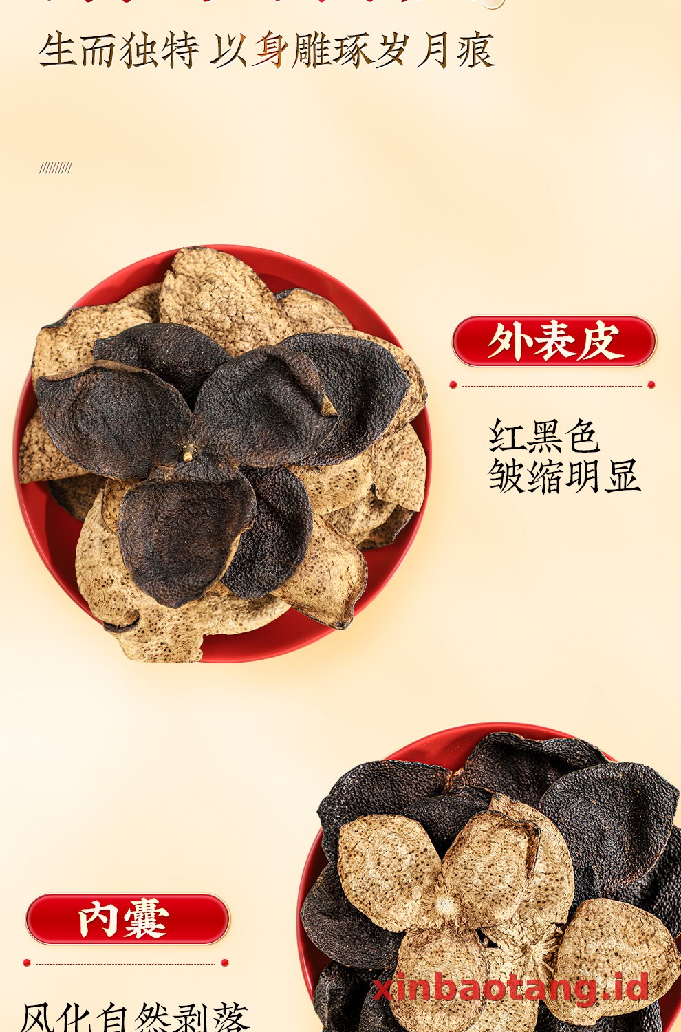 Xinbaotang Chenpi Kering 20 Tahun 50g