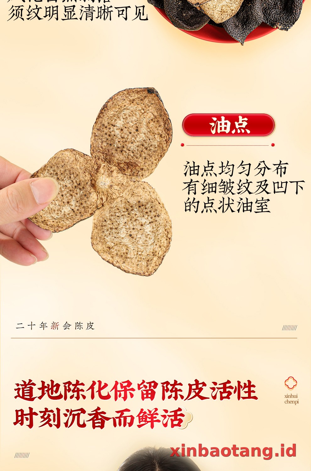 Xinbaotang Chenpi Kering 20 Tahun 50g