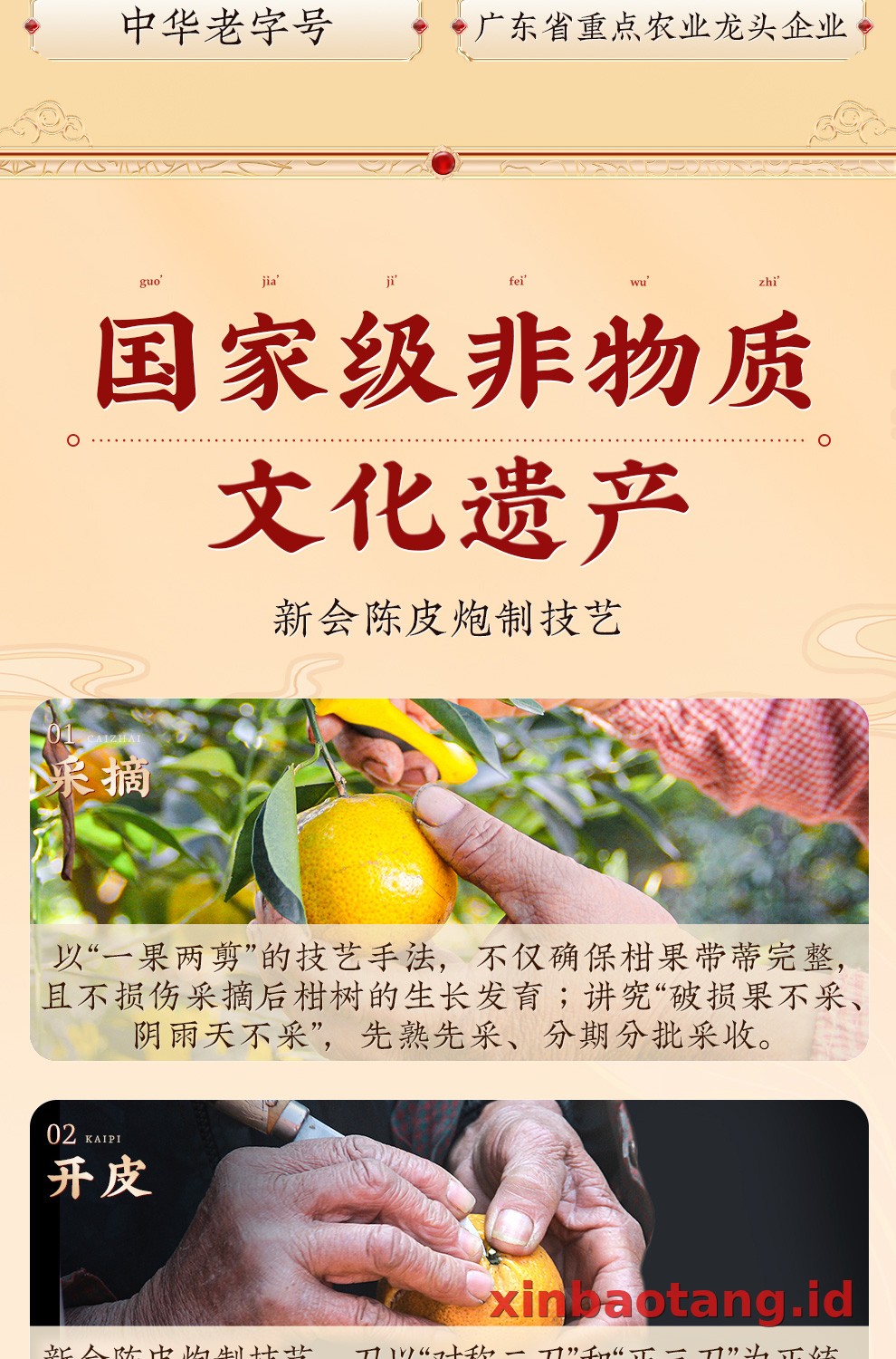 Xinbaotang Chenpi Kering 30 Tahun 50g