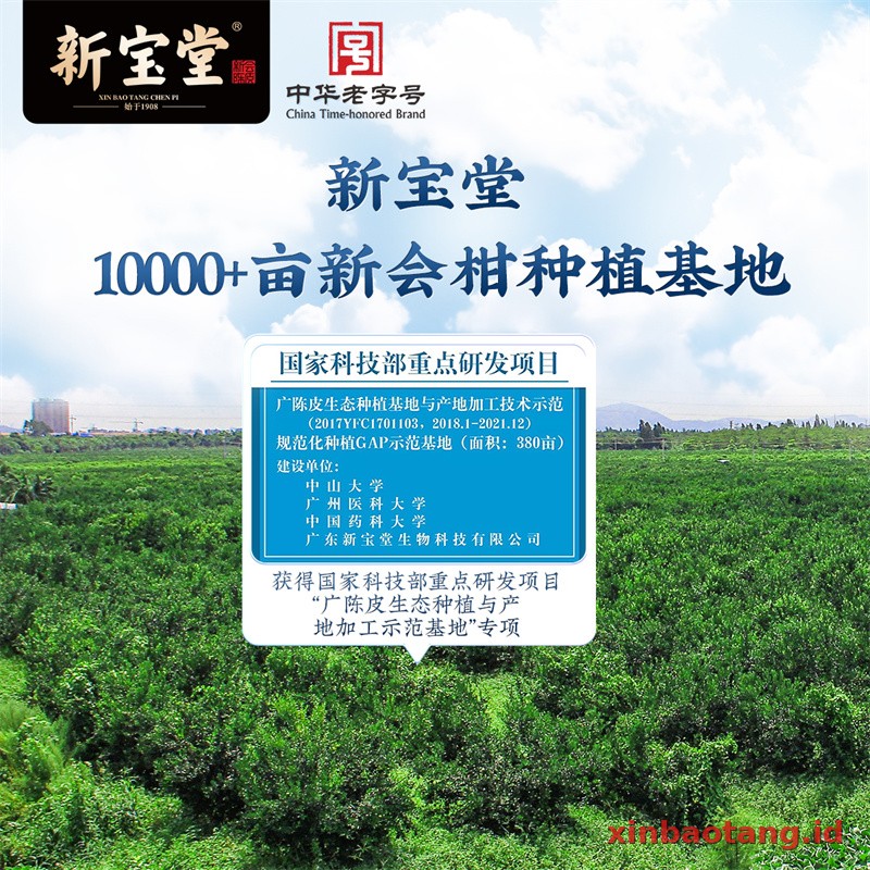Xinbaotang Chenpi Kering Kristal 50g - Gambar 2