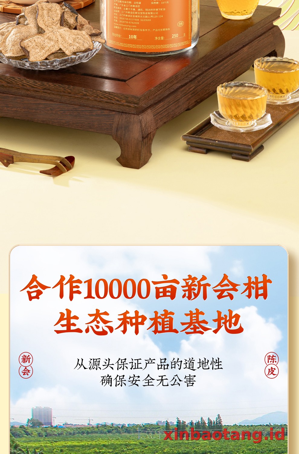 Xinbaotang Chenpi Kering 10 Tahun Botol Kaca 250g