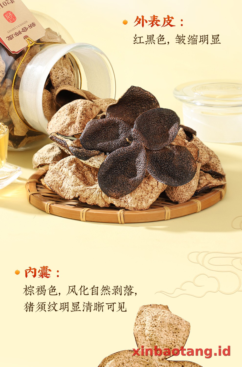 Xinbaotang Chenpi Kering 10 Tahun Botol Kaca 250g