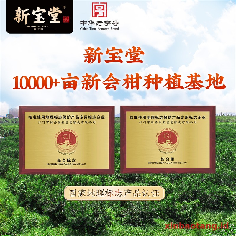 Xinbaotang Chenpi Kering 10 Tahun Botol Kaca 250g - Gambar 3