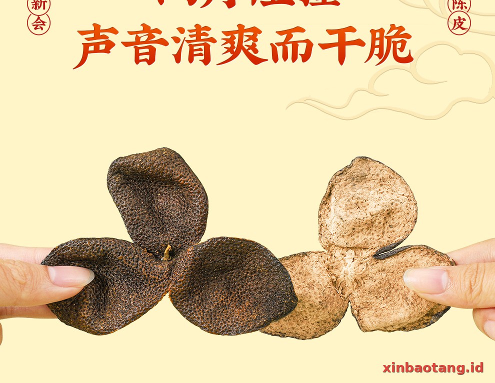 Xinbaotang Chenpi Kering 10 Tahun Botol Kaca 250g