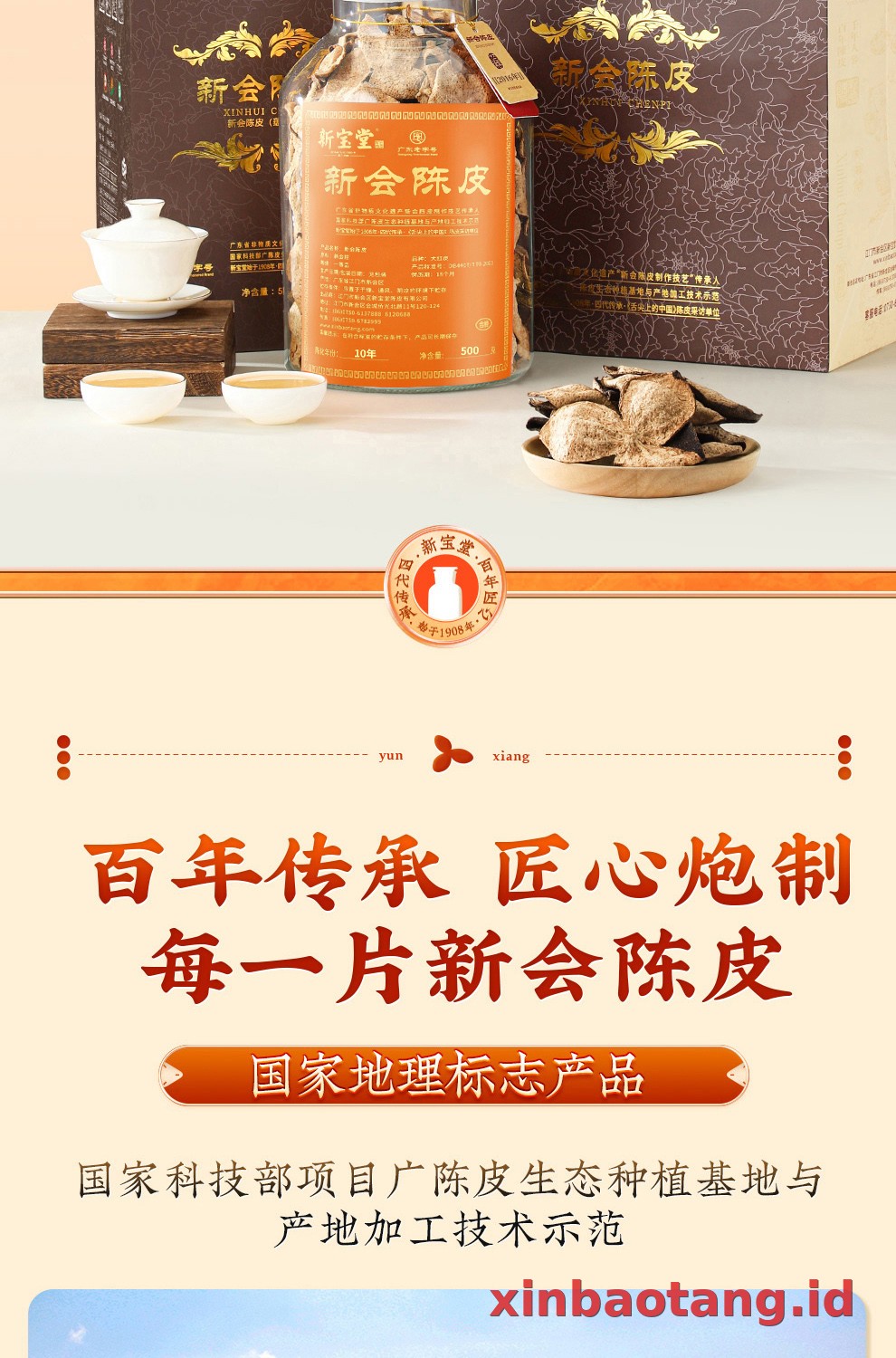Xinbaotang Chenpi Kering 10 Tahun Gift Box 500g