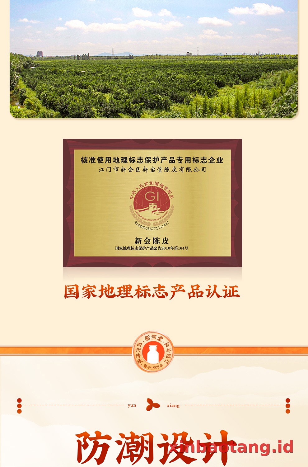 Xinbaotang Chenpi Kering 10 Tahun Gift Box 500g