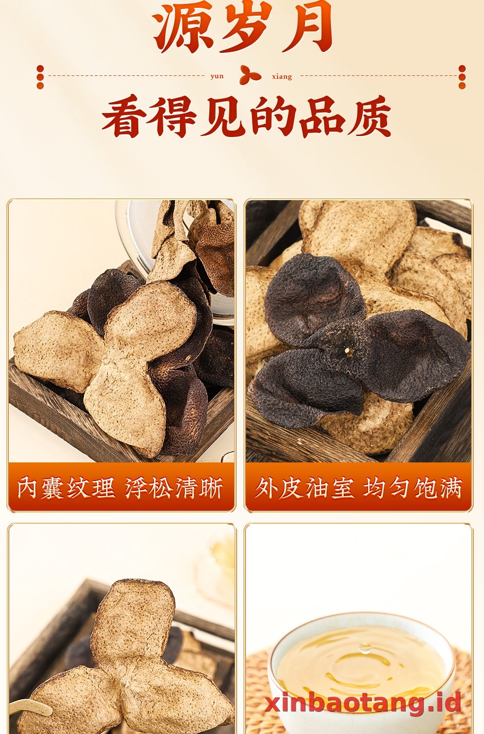 Xinbaotang Chenpi Kering 10 Tahun Gift Box 500g