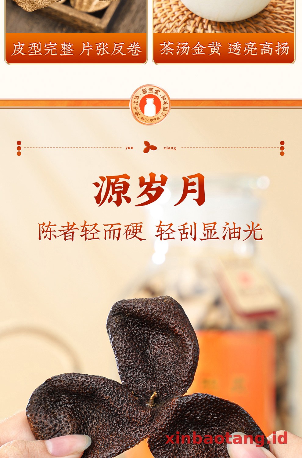 Xinbaotang Chenpi Kering 10 Tahun Gift Box 500g
