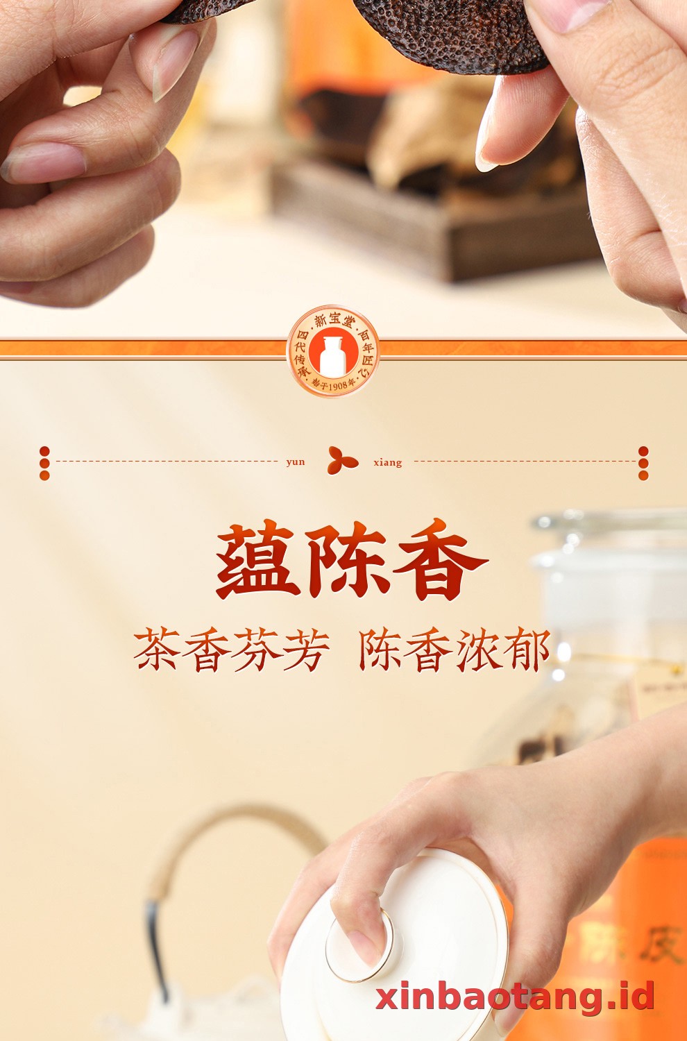 Xinbaotang Chenpi Kering 10 Tahun Gift Box 500g