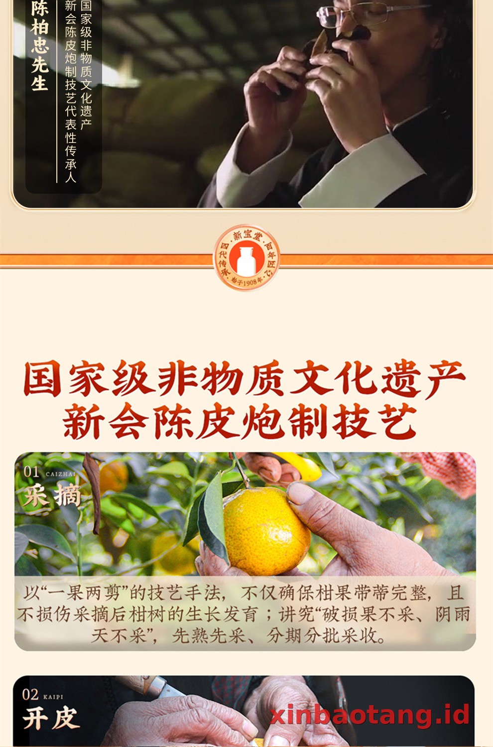 Xinbaotang Chenpi Kering 10 Tahun Gift Box 500g