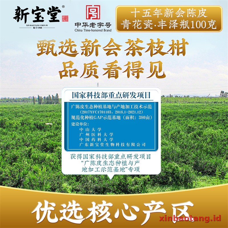 Xinbaotang Chenpi Kering 15 Tahun Porselen Biru-Putih 100g - Gambar 2