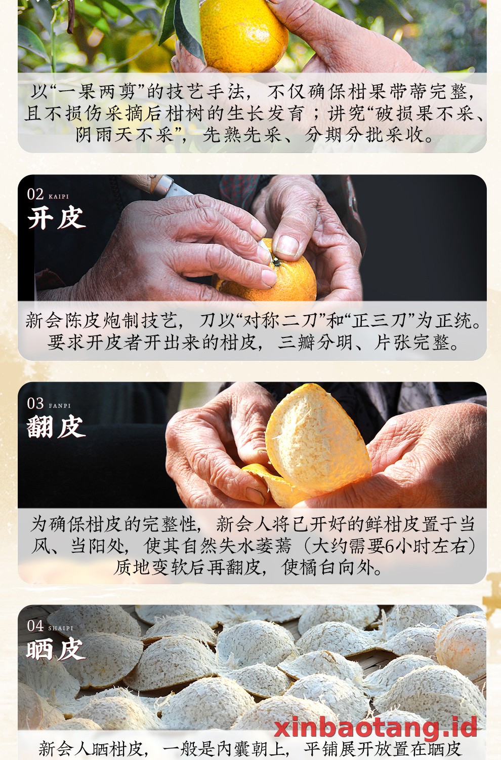Xinbaotang Chenpi Kering 15 Tahun Porselen Biru-Putih 100g