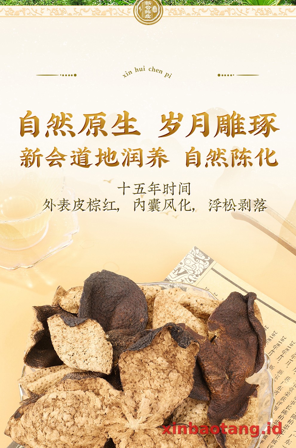 Xinbaotang Chenpi Kering 15 Tahun Porselen Biru-Putih 100g
