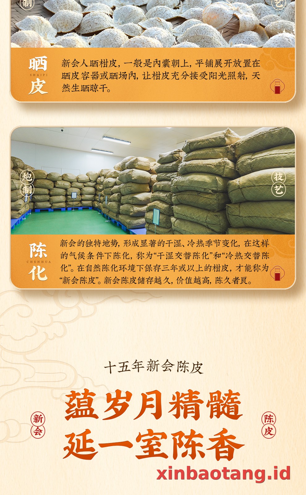 Xinbaotang Chenpi Kering 15 Tahun Botol Kaca 250g