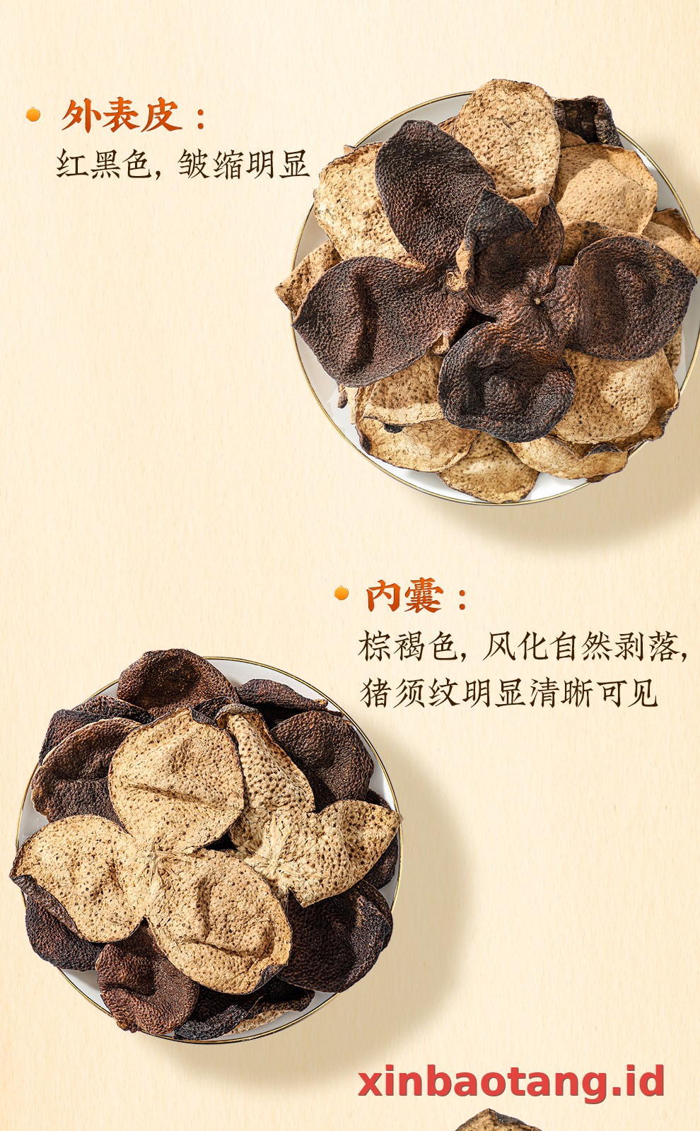 Xinbaotang Chenpi Kering 15 Tahun Botol Kaca 250g