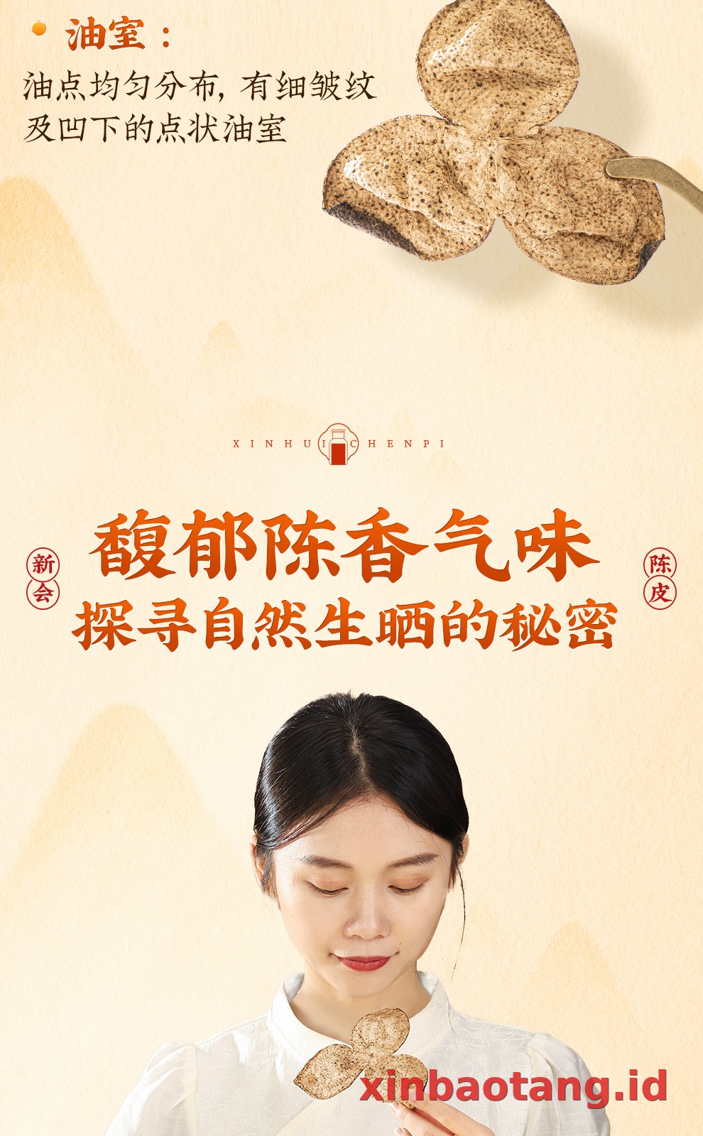 Xinbaotang Chenpi Kering 15 Tahun Botol Kaca 250g